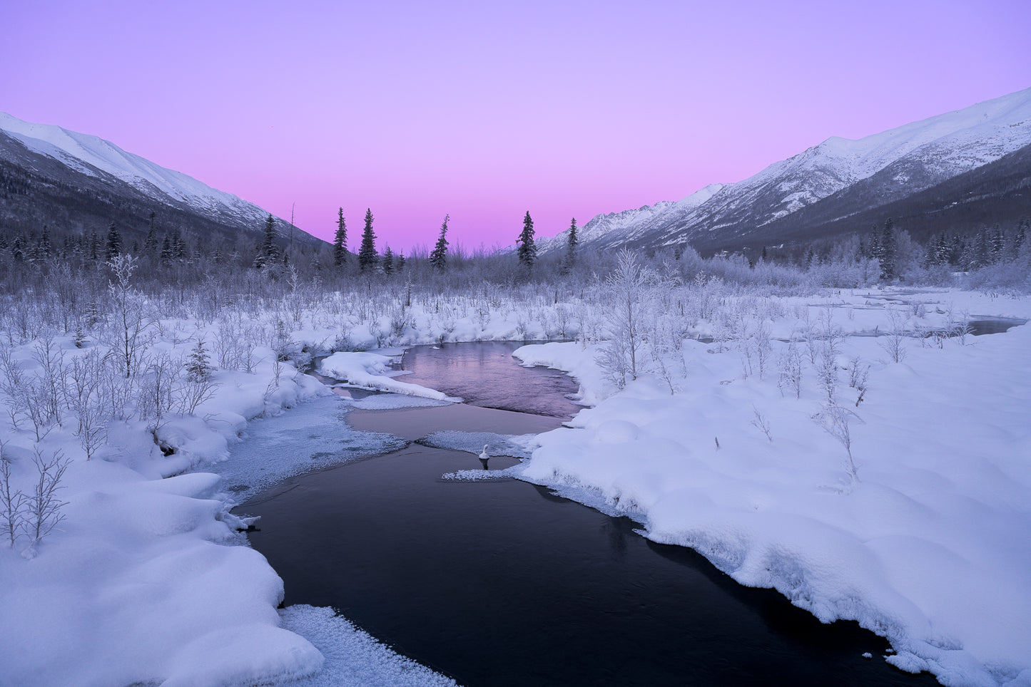 Winter Sunrise at the Eagle River Nature Center in Alaska