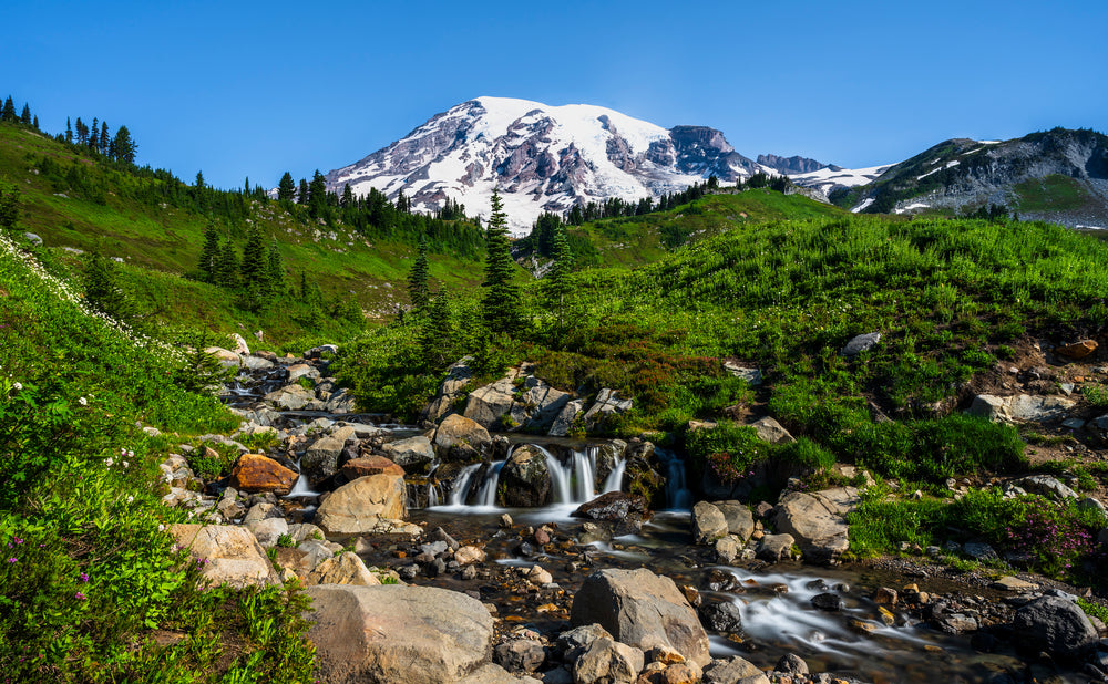 Edith Creek Mount Rainier National Park