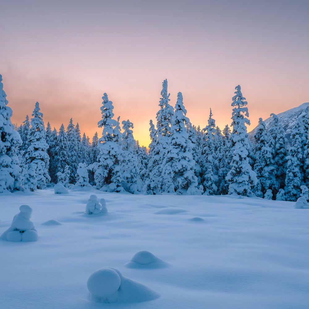 Sunset from a valley in the Chugach Mountains in Girdwood Alaska 